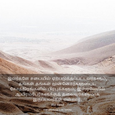 Picture 03 - எண்ணாகமம் 1:16 TAMIRV - இவர்களே சபையில் - Bible Verse Picture