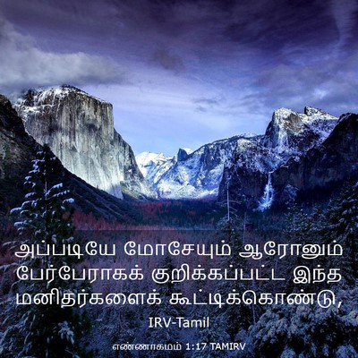 Picture 03 - எண்ணாகமம் 1:17 TAMIRV - அப்படியே மோசேயும் - Bible Verse Picture
