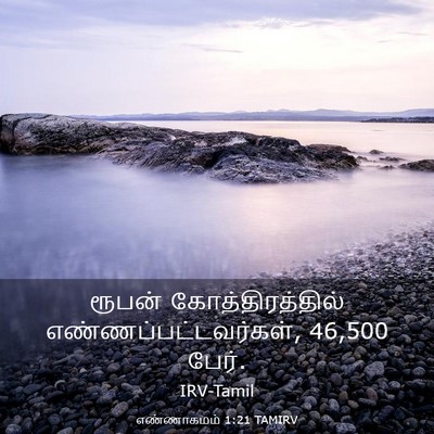 Picture 03 - எண்ணாகமம் 1:21 TAMIRV - ரூபன் - Bible Verse Picture