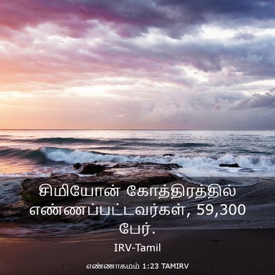 Picture 03 - எண்ணாகமம் 1:23 TAMIRV - சிமியோன் - Bible Verse Picture