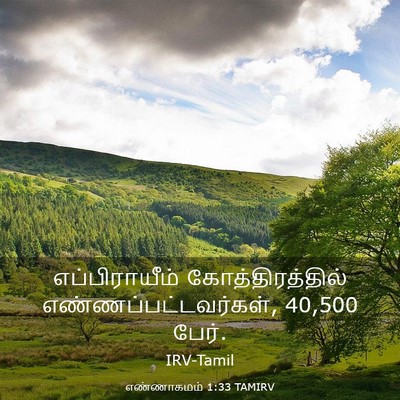 Picture 03 - எண்ணாகமம் 1:33 TAMIRV - எப்பிராயீம் - Bible Verse Picture