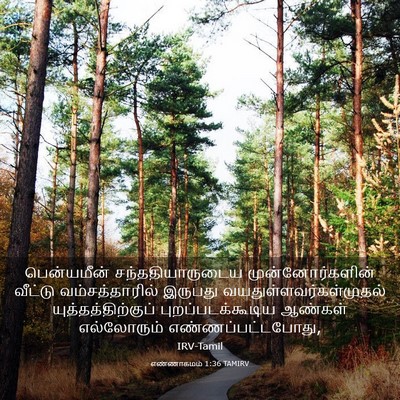 Picture 03 - எண்ணாகமம் 1:36 TAMIRV - பென்யமீன் - Bible Verse Picture