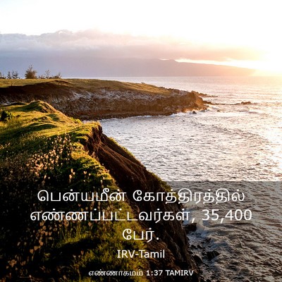 Picture 03 - எண்ணாகமம் 1:37 TAMIRV - பென்யமீன் - Bible Verse Picture