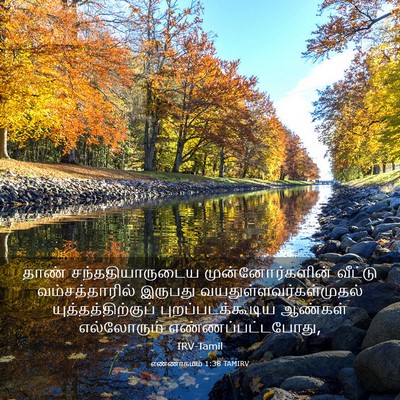 Picture 03 - எண்ணாகமம் 1:38 TAMIRV - தாண் - Bible Verse Picture