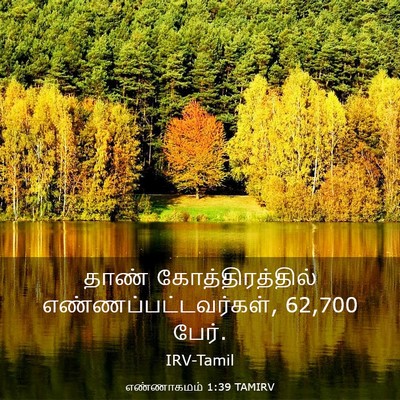 Picture 03 - எண்ணாகமம் 1:39 TAMIRV - தாண் - Bible Verse Picture