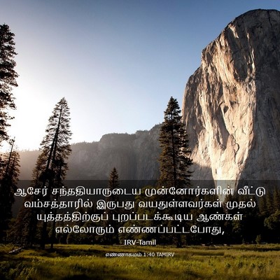 Picture 03 - எண்ணாகமம் 1:40 TAMIRV - ஆசேர் - Bible Verse Picture