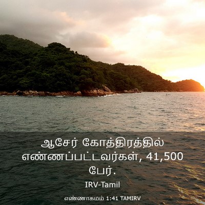 Picture 03 - எண்ணாகமம் 1:41 TAMIRV - ஆசேர் - Bible Verse Picture