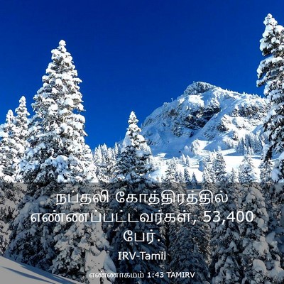 Picture 03 - எண்ணாகமம் 1:43 TAMIRV - நப்தலி - Bible Verse Picture