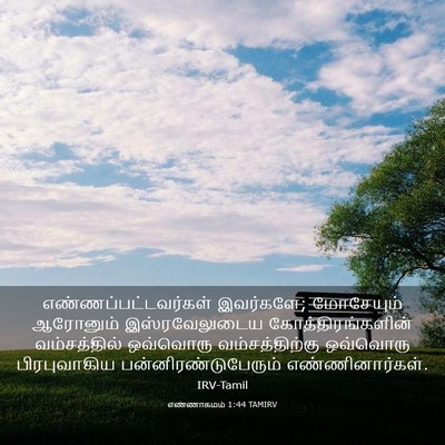 Picture 03 - எண்ணாகமம் 1:44 TAMIRV - எண்ணப்பட்டவர்கள் - Bible Verse Picture