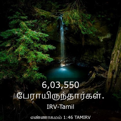 Picture 03 - எண்ணாகமம் 1:46 TAMIRV - 6,03,550 - Bible Verse Picture