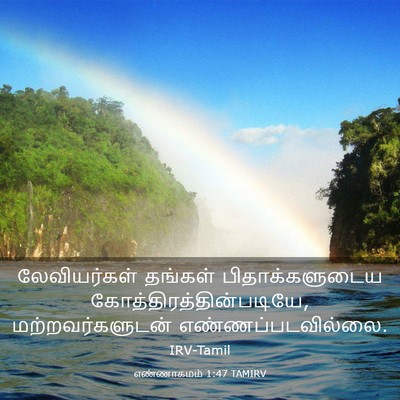 Picture 03 - எண்ணாகமம் 1:47 TAMIRV - லேவியர்கள் தங்கள் - Bible Verse Picture