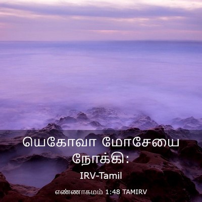 Picture 03 - எண்ணாகமம் 1:48 TAMIRV - யெகோவா மோசேயை - Bible Verse Picture