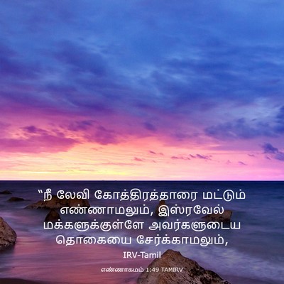 Picture 03 - எண்ணாகமம் 1:49 TAMIRV - “நீ லேவி - Bible Verse Picture