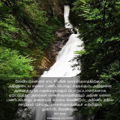 Picture 03 - எண்ணாகமம் 1:50 TAMIRV - லேவியர்களைச் - Bible Verse Picture