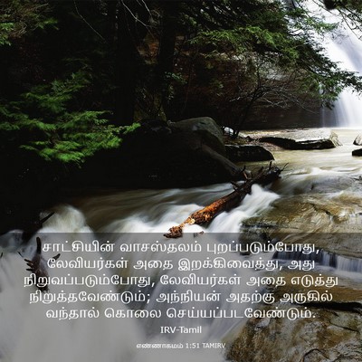 Picture 03 - எண்ணாகமம் 1:51 TAMIRV - சாட்சியின் - Bible Verse Picture