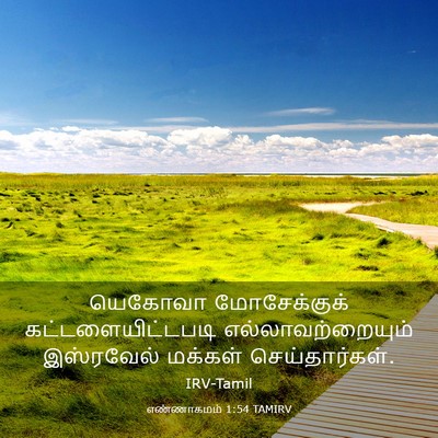 Picture 03 - எண்ணாகமம் 1:54 TAMIRV - யெகோவா மோசேக்குக் - Bible Verse Picture