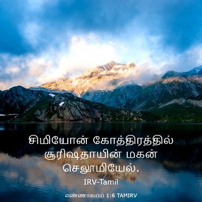 Picture 03 - எண்ணாகமம் 1:6 TAMIRV - சிமியோன் - Bible Verse Picture