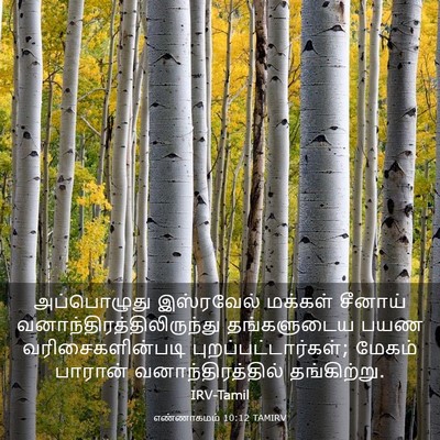 Picture 03 - எண்ணாகமம் 10:12 TAMIRV - அப்பொழுது - Bible Verse Picture