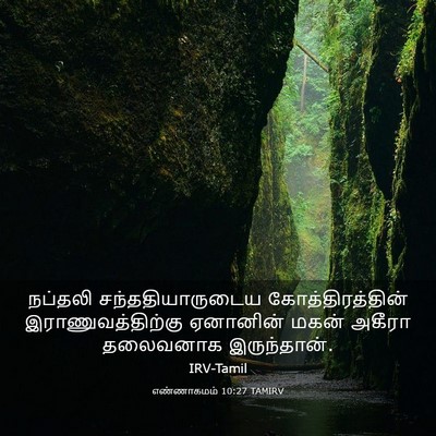 Picture 03 - எண்ணாகமம் 10:27 TAMIRV - நப்தலி - Bible Verse Picture