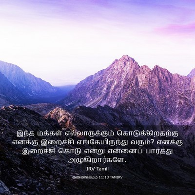 Picture 03 - எண்ணாகமம் 11:13 TAMIRV - இந்த மக்கள் - Bible Verse Picture