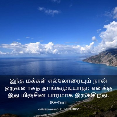 Picture 03 - எண்ணாகமம் 11:14 TAMIRV - இந்த மக்கள் - Bible Verse Picture