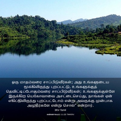 Picture 03 - எண்ணாகமம் 11:20 TAMIRV - ஒரு மாதம்வரை - Bible Verse Picture