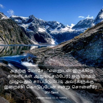 Picture 03 - எண்ணாகமம் 11:21 TAMIRV - அதற்கு மோசே: - Bible Verse Picture