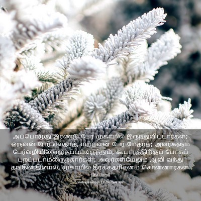 Picture 03 - எண்ணாகமம் 11:26 TAMIRV - அப்பொழுது இரண்டு - Bible Verse Picture