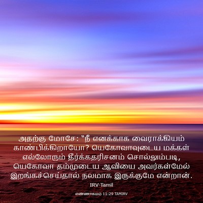 Picture 03 - எண்ணாகமம் 11:29 TAMIRV - அதற்கு மோசே: “நீ - Bible Verse Picture