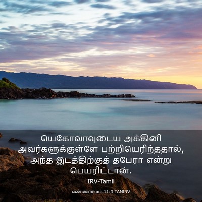 Picture 03 - எண்ணாகமம் 11:3 TAMIRV - யெகோவாவுடைய - Bible Verse Picture