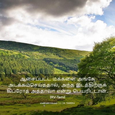Picture 03 - எண்ணாகமம் 11:34 TAMIRV - ஆசைப்பட்ட மக்களை - Bible Verse Picture