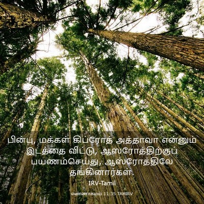Picture 03 - எண்ணாகமம் 11:35 TAMIRV - பின்பு, மக்கள் - Bible Verse Picture