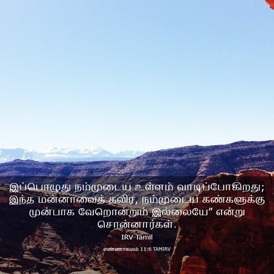 Picture 03 - எண்ணாகமம் 11:6 TAMIRV - இப்பொழுது - Bible Verse Picture
