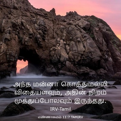 Picture 03 - எண்ணாகமம் 11:7 TAMIRV - அந்த மன்னா - Bible Verse Picture