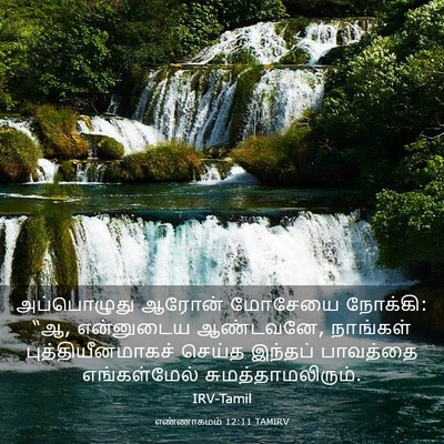 Picture 03 - எண்ணாகமம் 12:11 TAMIRV - அப்பொழுது ஆரோன் - Bible Verse Picture