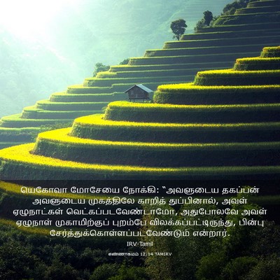 Picture 03 - எண்ணாகமம் 12:14 TAMIRV - யெகோவா மோசேயை - Bible Verse Picture