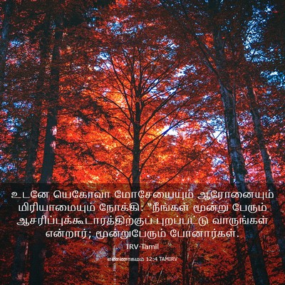 Picture 03 - எண்ணாகமம் 12:4 TAMIRV - உடனே யெகோவா - Bible Verse Picture