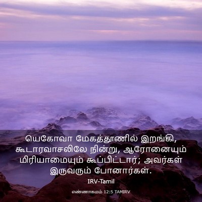 Picture 03 - எண்ணாகமம் 12:5 TAMIRV - யெகோவா - Bible Verse Picture