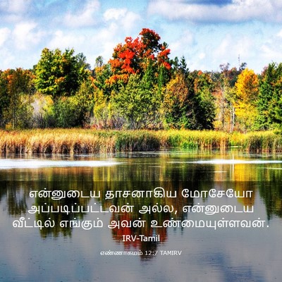 Picture 03 - எண்ணாகமம் 12:7 TAMIRV - என்னுடைய தாசனாகிய - Bible Verse Picture