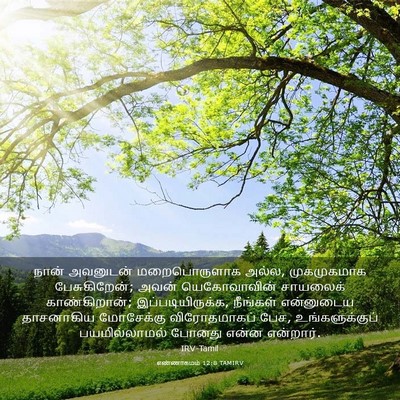Picture 03 - எண்ணாகமம் 12:8 TAMIRV - நான் அவனுடன் - Bible Verse Picture