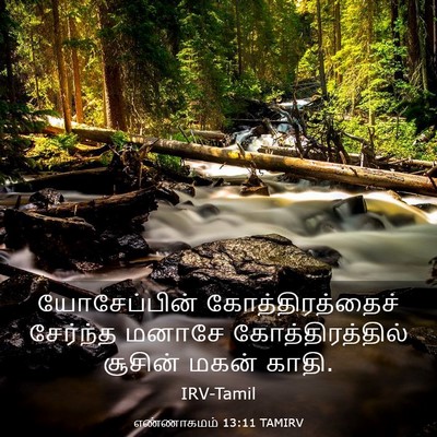 Picture 03 - எண்ணாகமம் 13:11 TAMIRV - யோசேப்பின் - Bible Verse Picture