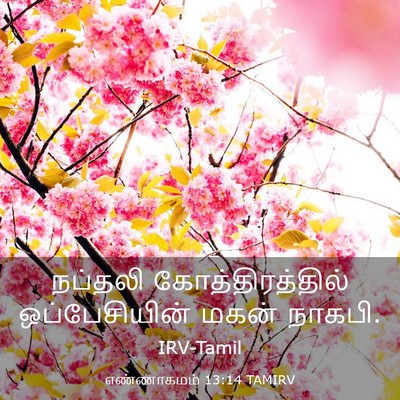 Picture 03 - எண்ணாகமம் 13:14 TAMIRV - நப்தலி - Bible Verse Picture
