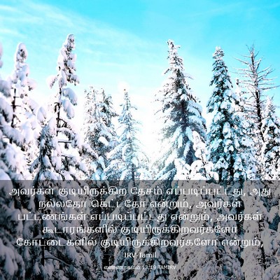 Picture 03 - எண்ணாகமம் 13:19 TAMIRV - அவர்கள் - Bible Verse Picture