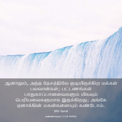 Picture 03 - எண்ணாகமம் 13:28 TAMIRV - ஆனாலும், அந்த - Bible Verse Picture