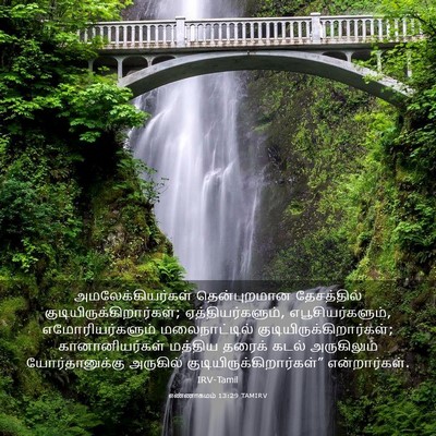 Picture 03 - எண்ணாகமம் 13:29 TAMIRV - அமலேக்கியர்கள் - Bible Verse Picture