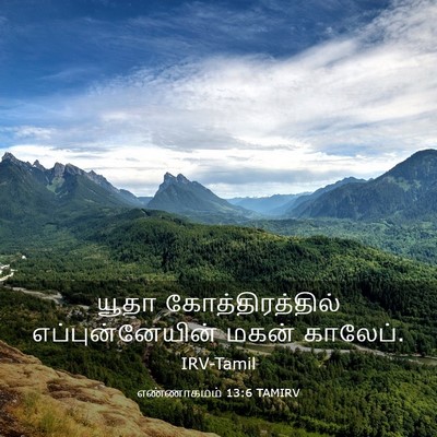 Picture 03 - எண்ணாகமம் 13:6 TAMIRV - யூதா - Bible Verse Picture