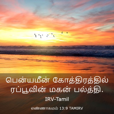 Picture 03 - எண்ணாகமம் 13:9 TAMIRV - பென்யமீன் - Bible Verse Picture