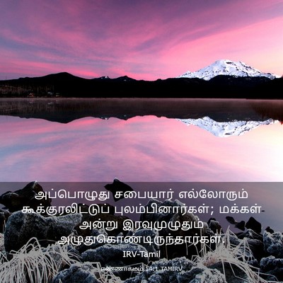Picture 03 - எண்ணாகமம் 14:1 TAMIRV - அப்பொழுது சபையார் - Bible Verse Picture