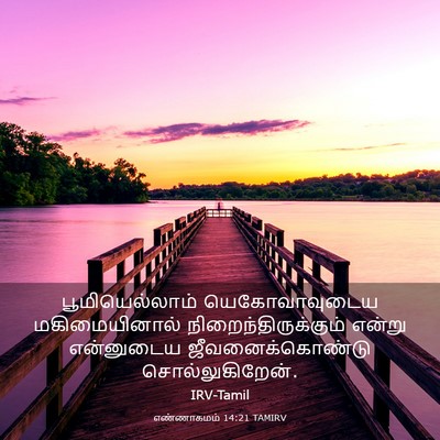 Picture 03 - எண்ணாகமம் 14:21 TAMIRV - பூமியெல்லாம் - Bible Verse Picture
