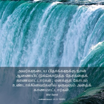 Picture 03 - எண்ணாகமம் 14:23 TAMIRV - அவர்களுடைய - Bible Verse Picture